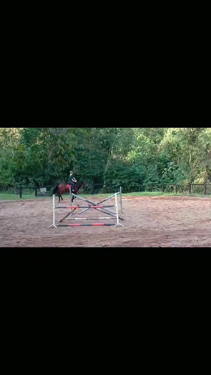 @equestrian