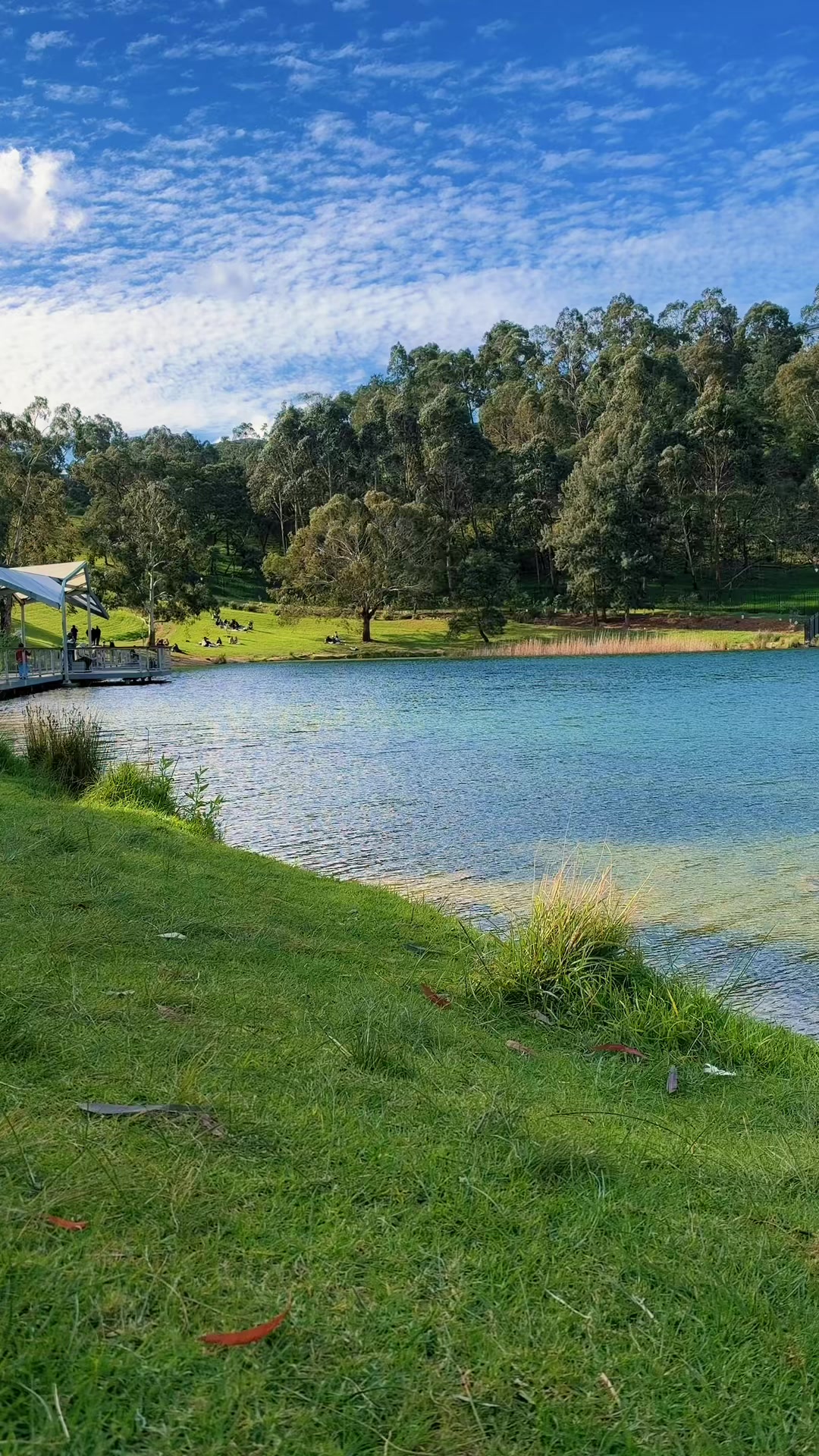 @Australia From My Lens