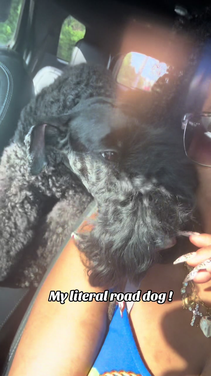 @fusionpetstylez