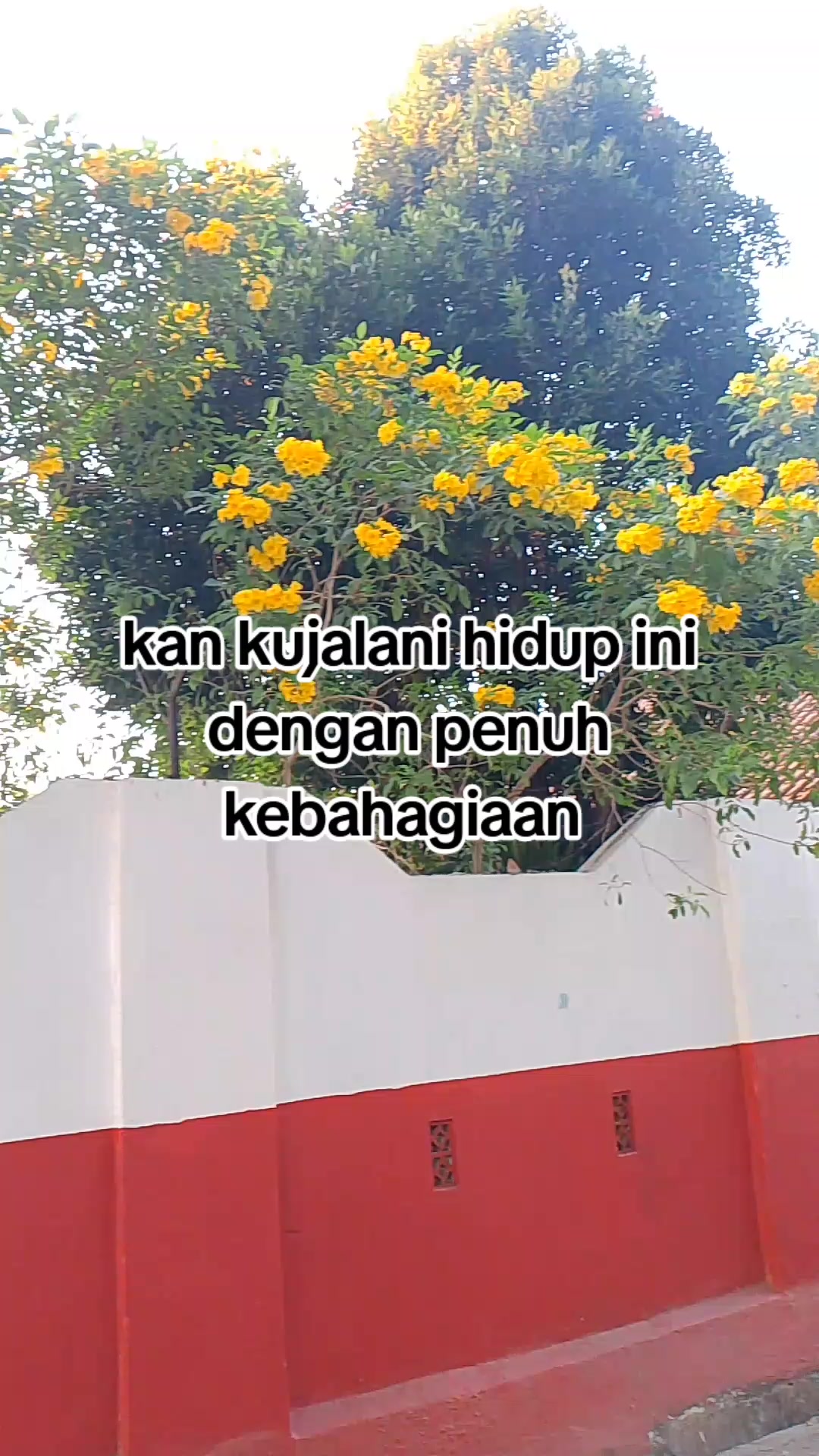 @LISA🍒
