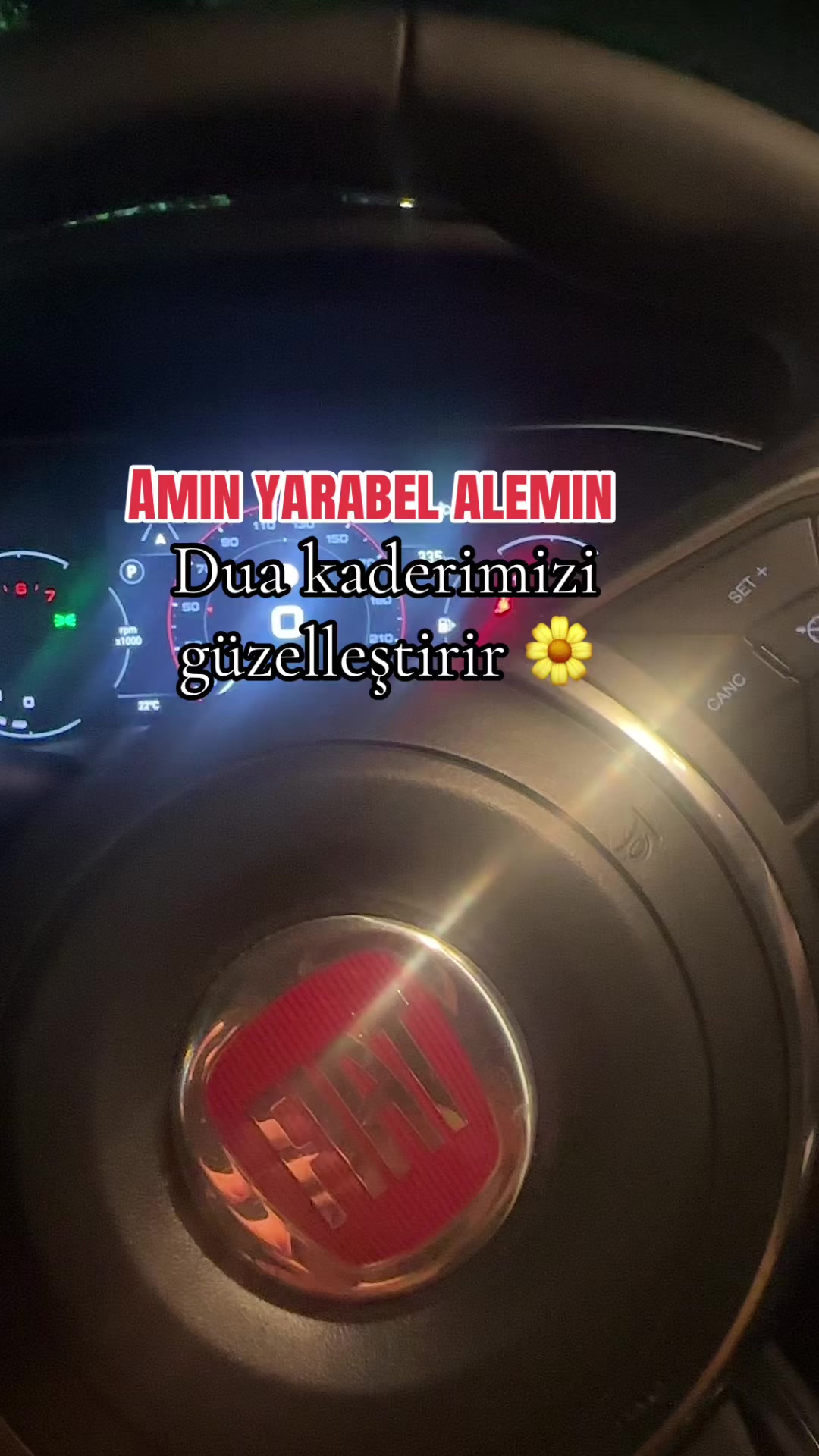 @papatyamm