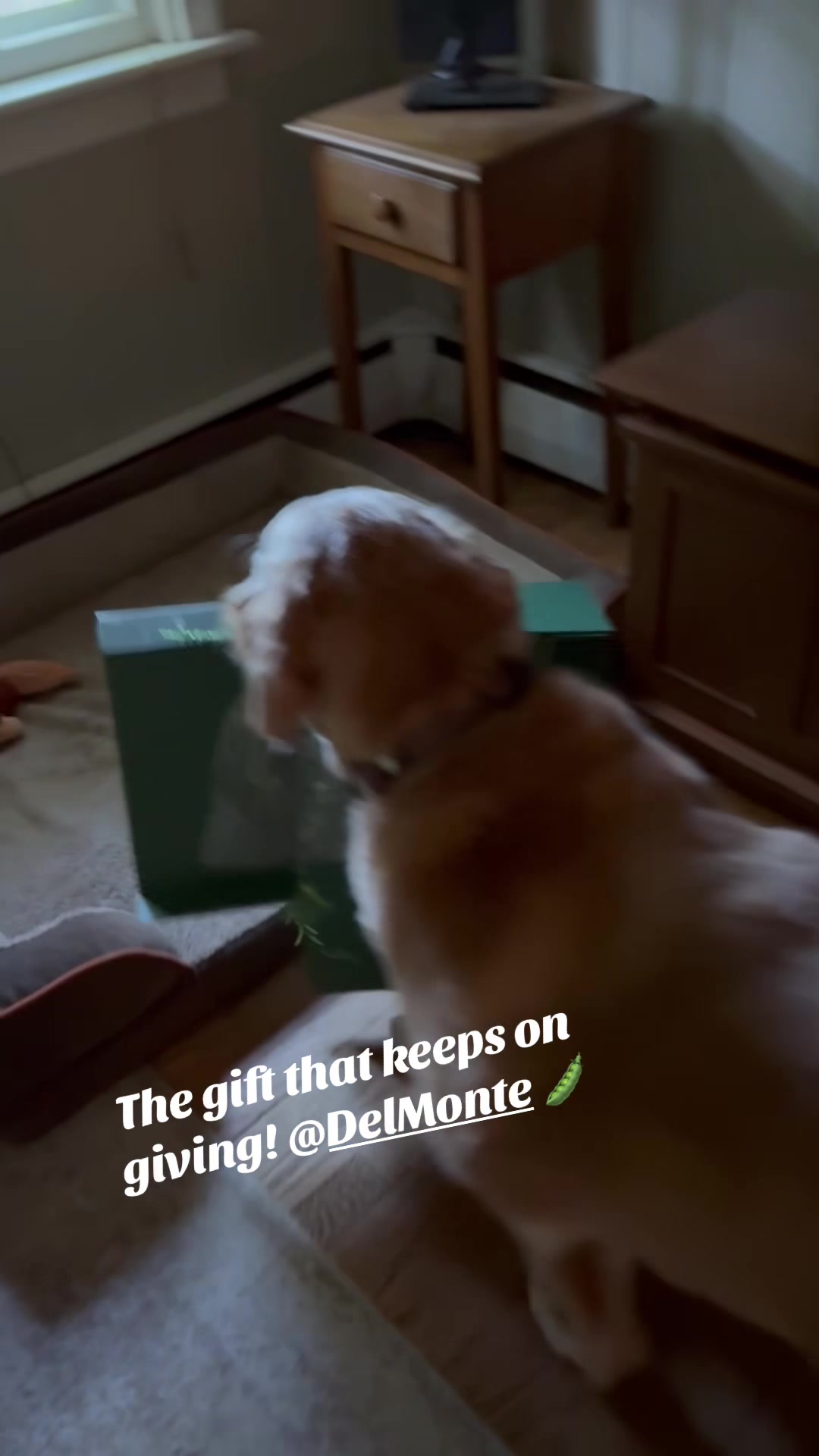 @lifewithduke2025