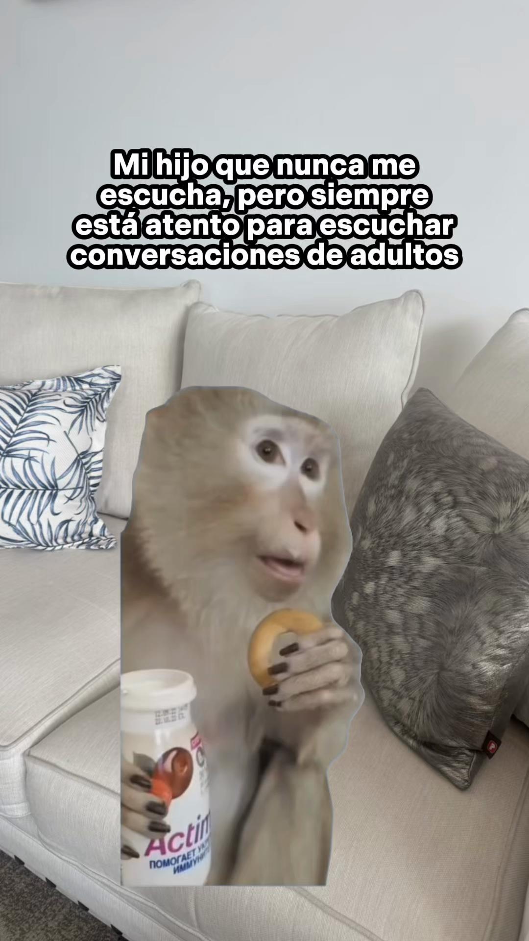 @Annabel Cancino