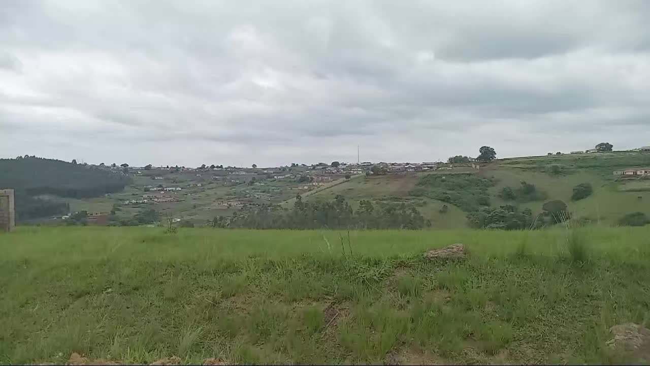 @Londeka Qoza-ZN