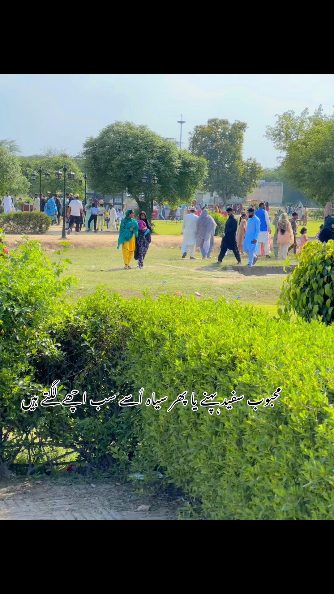 @🥀 شعبی ۔۔