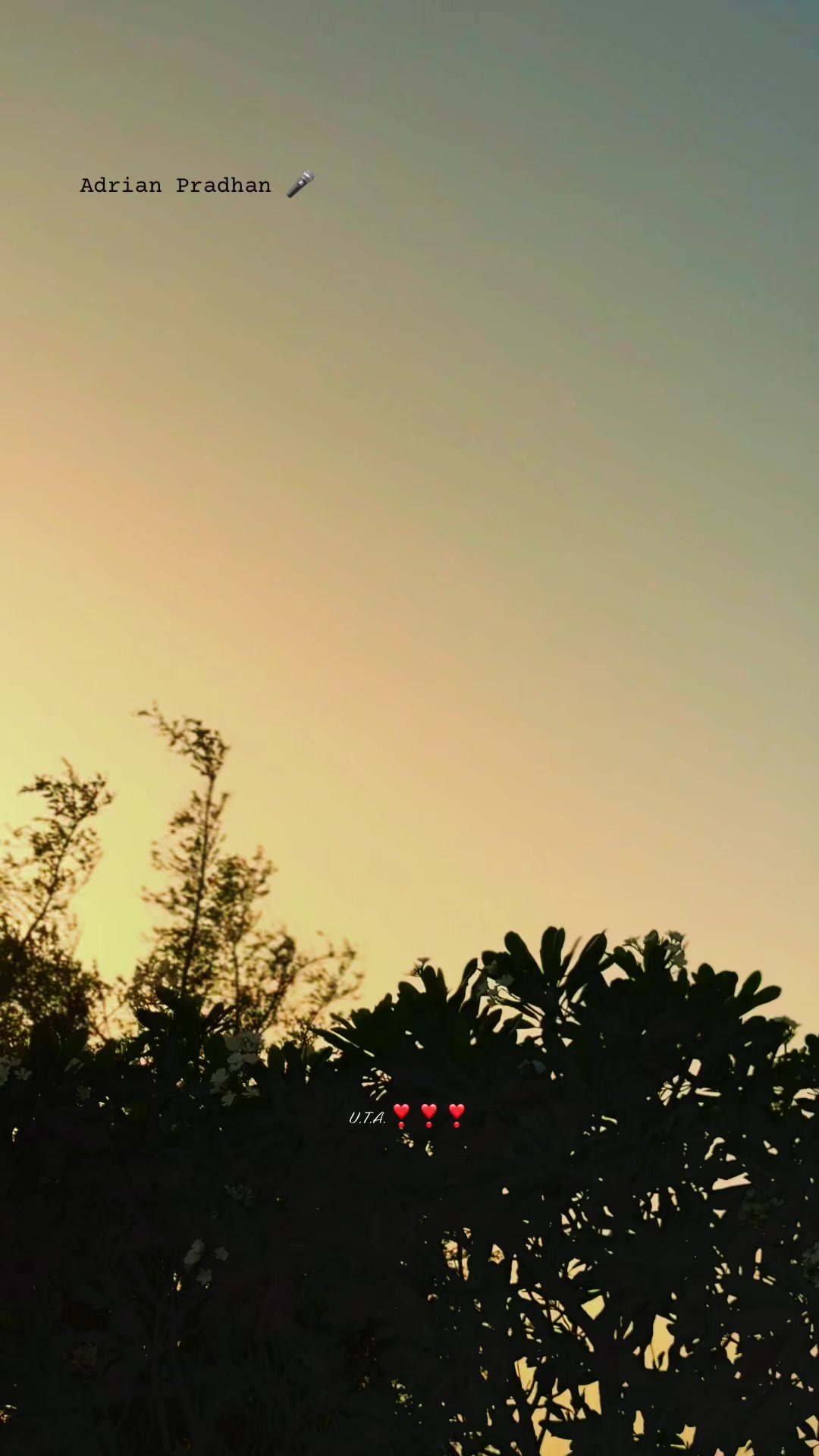 @e🦋c🌜p🌱🕯️❣️n