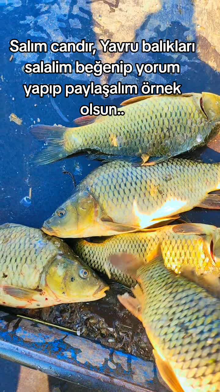 @⚓🐟🐟RECEP_REİS_02🐟🐟⚓