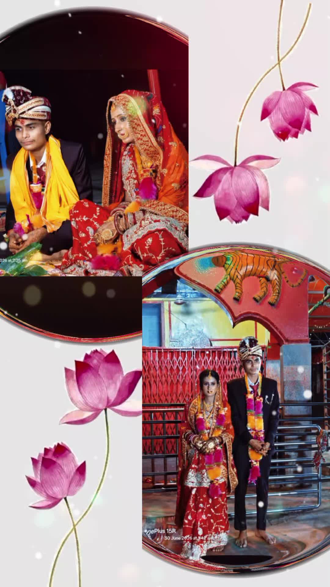 @Rina Jaiswal
