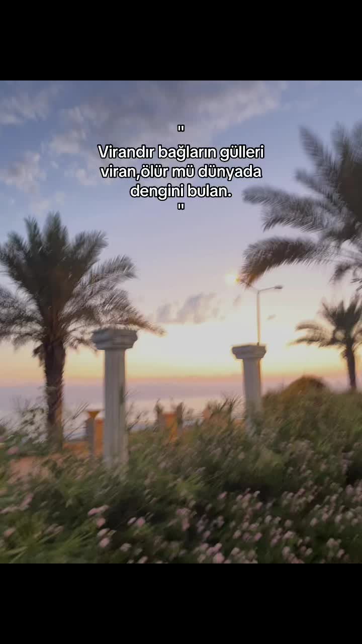 @ℰ𝓁𝓏𝑒𝓂