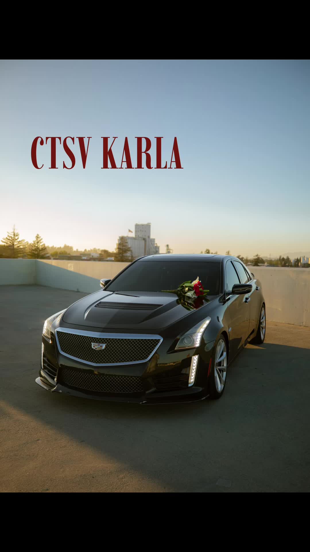 @ctsv_karla