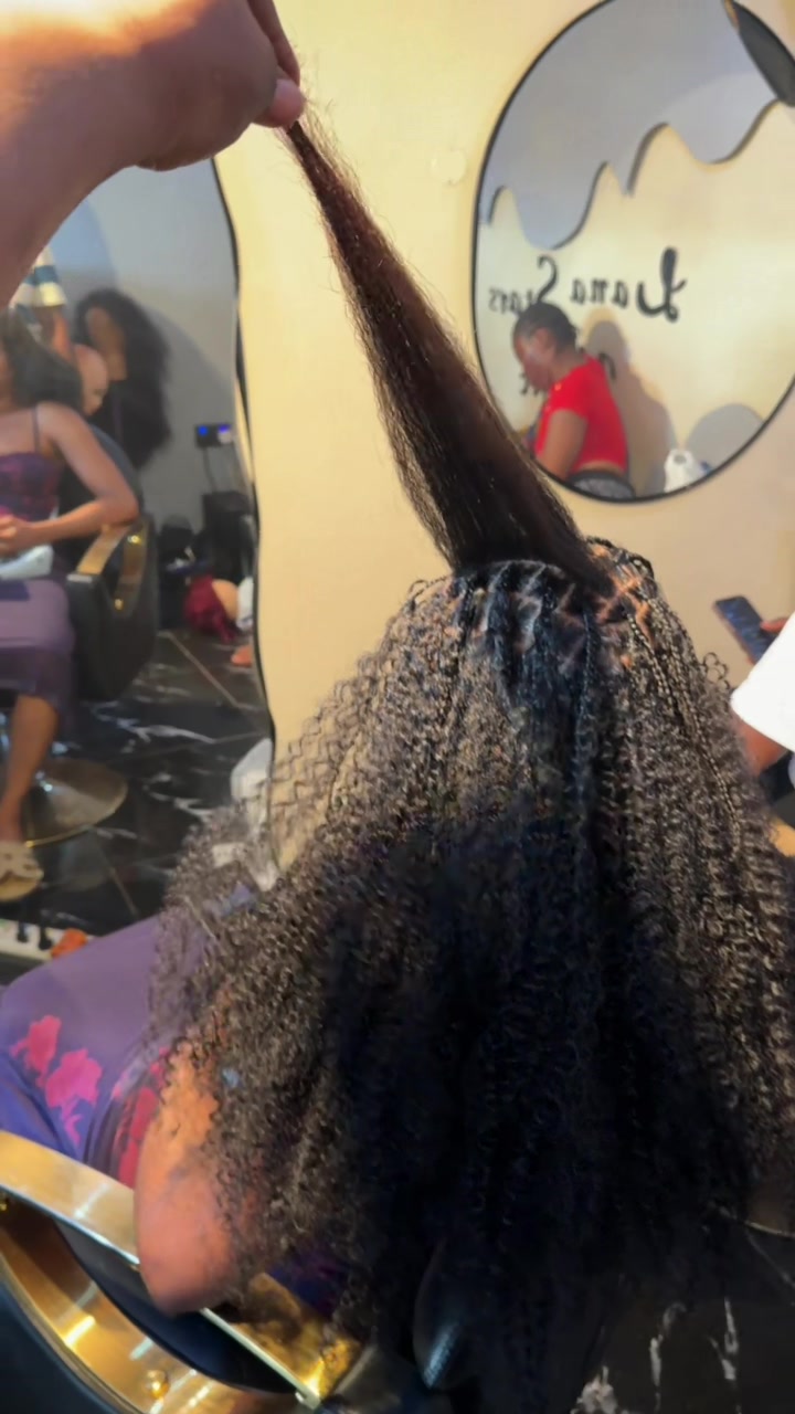 @FESTAC/SATELLITE STYLIST