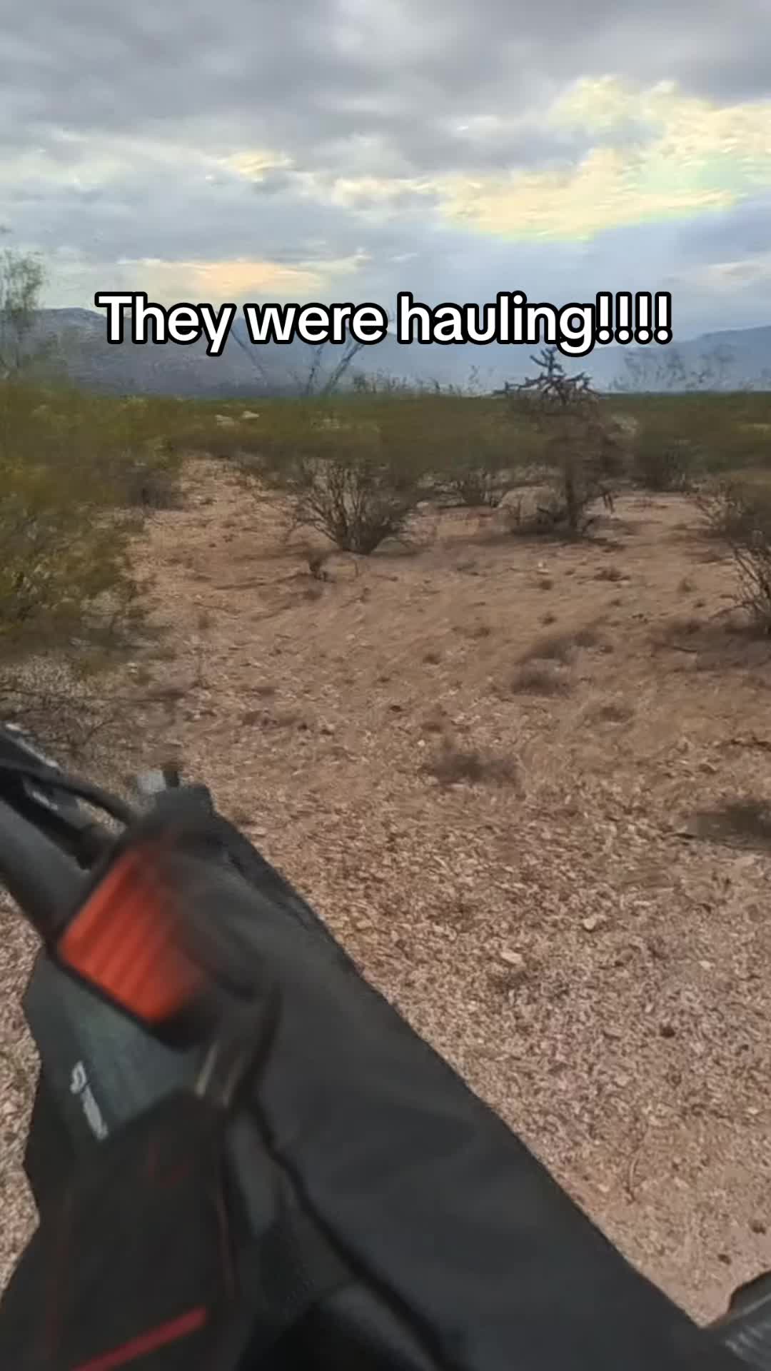 @Sundown In Sonoran