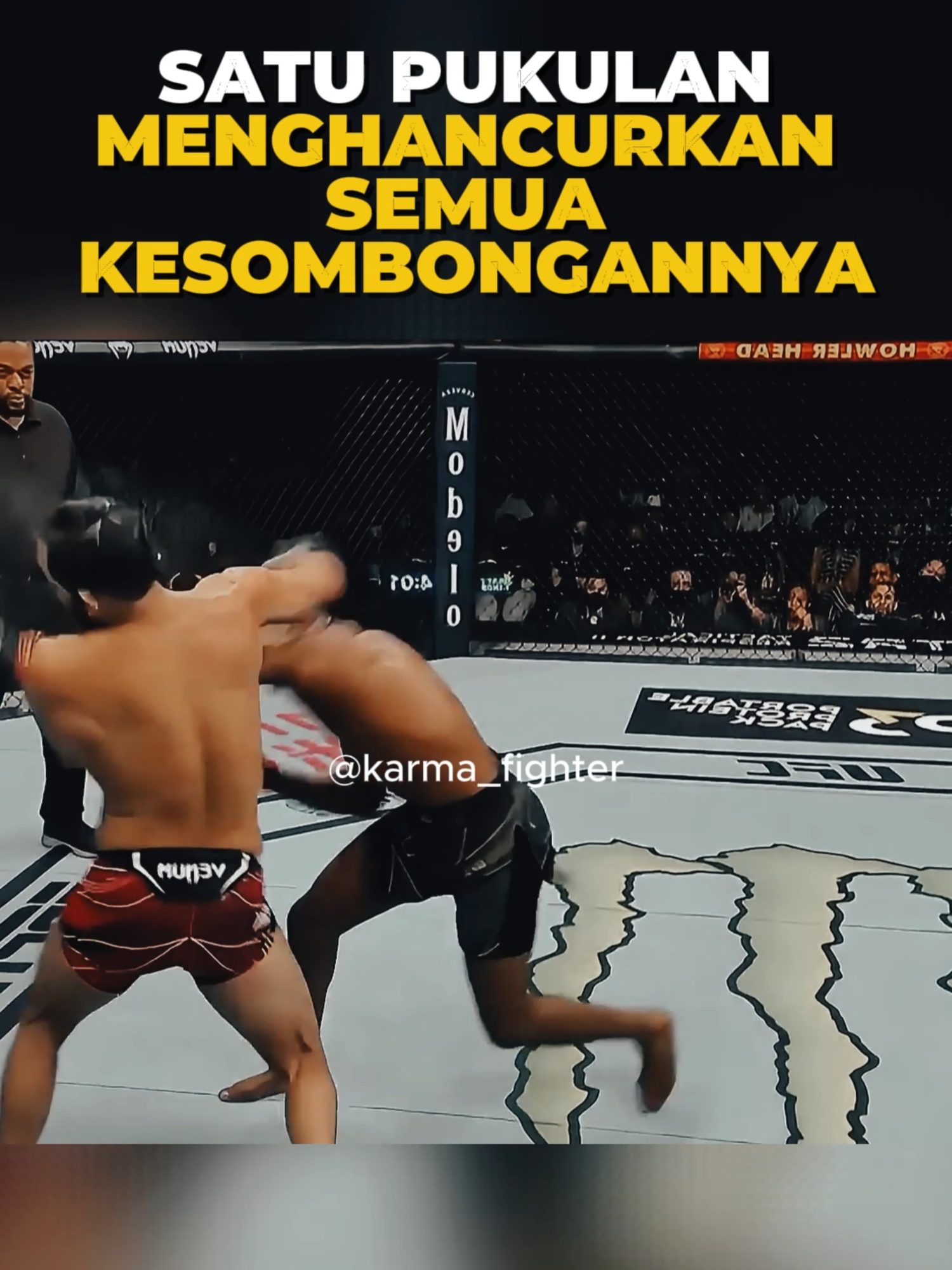 @MOVIEWS