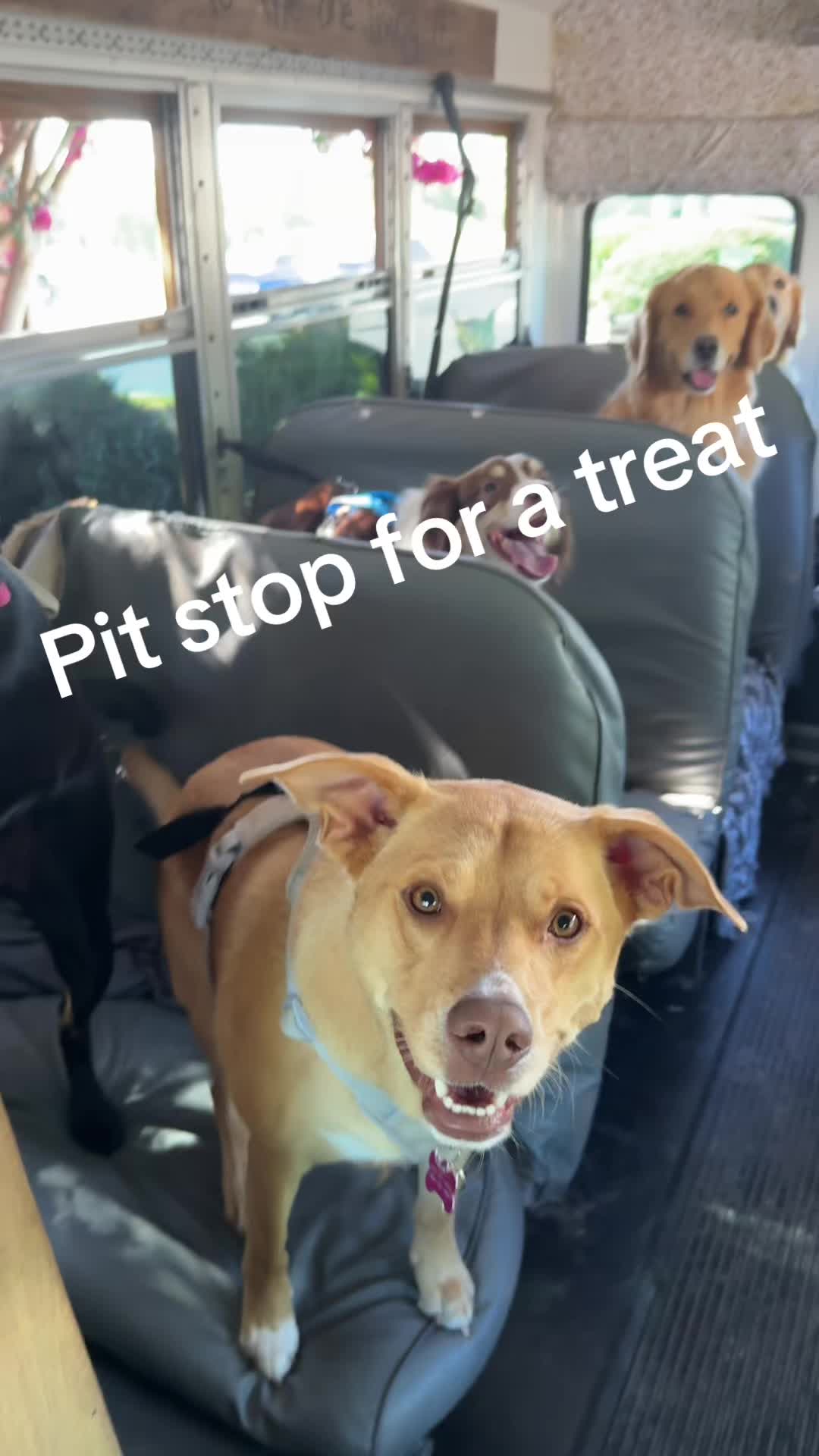 @The Storybook Bus