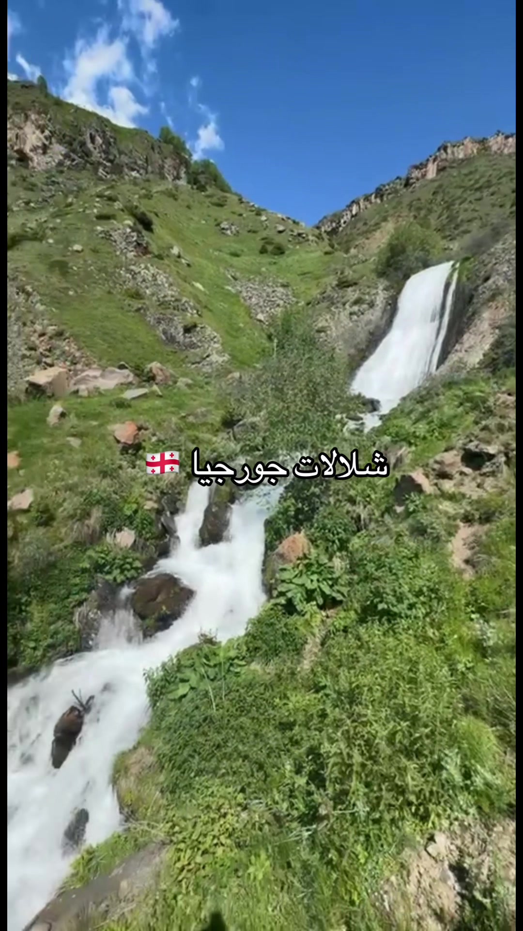 @Dos دوس