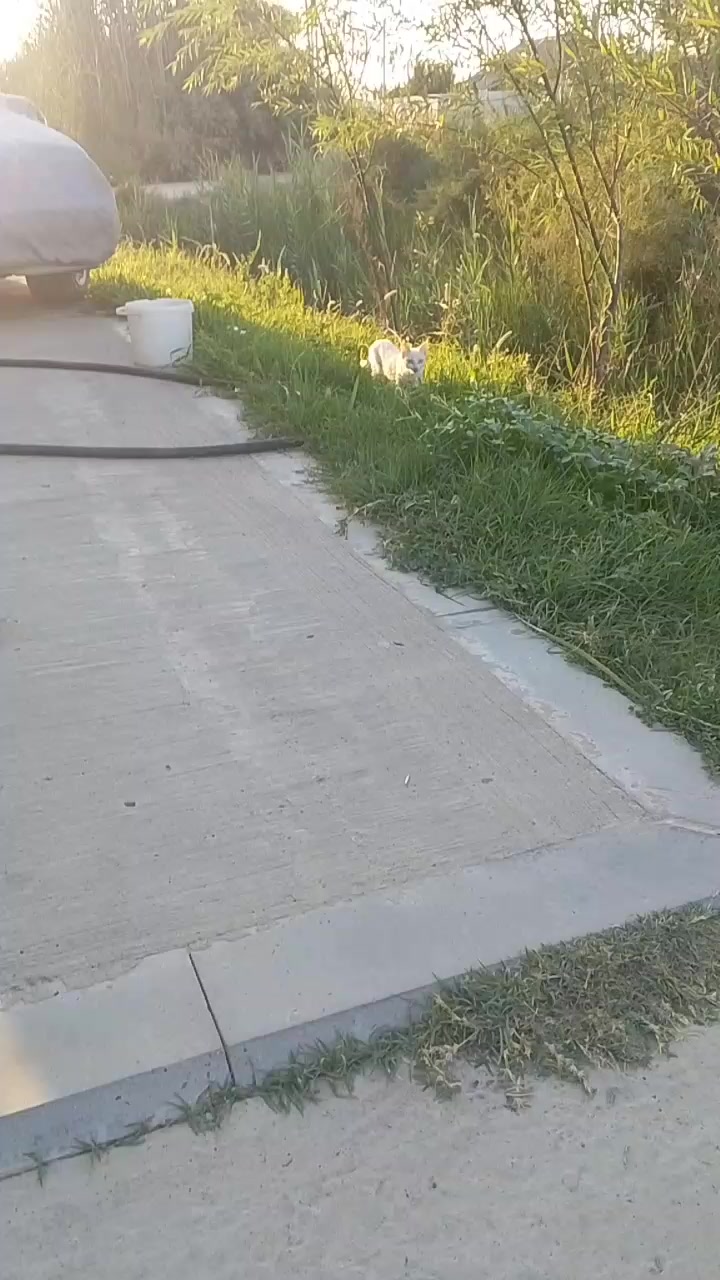 @buda_keçer_@