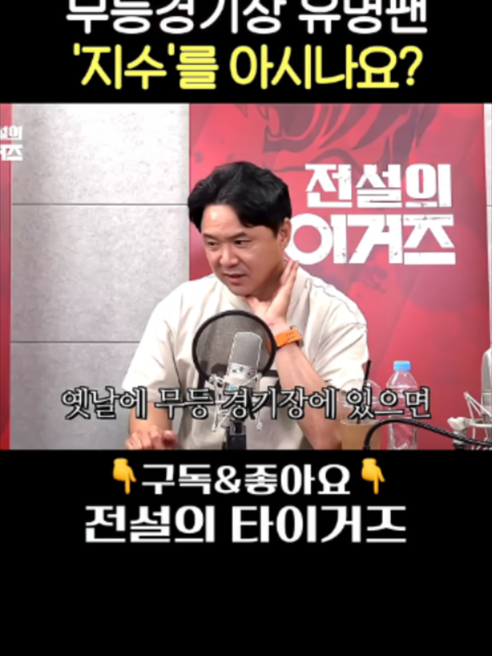 @전설의 타이거즈