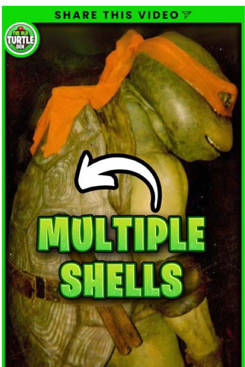 @TheOldTurtleDen