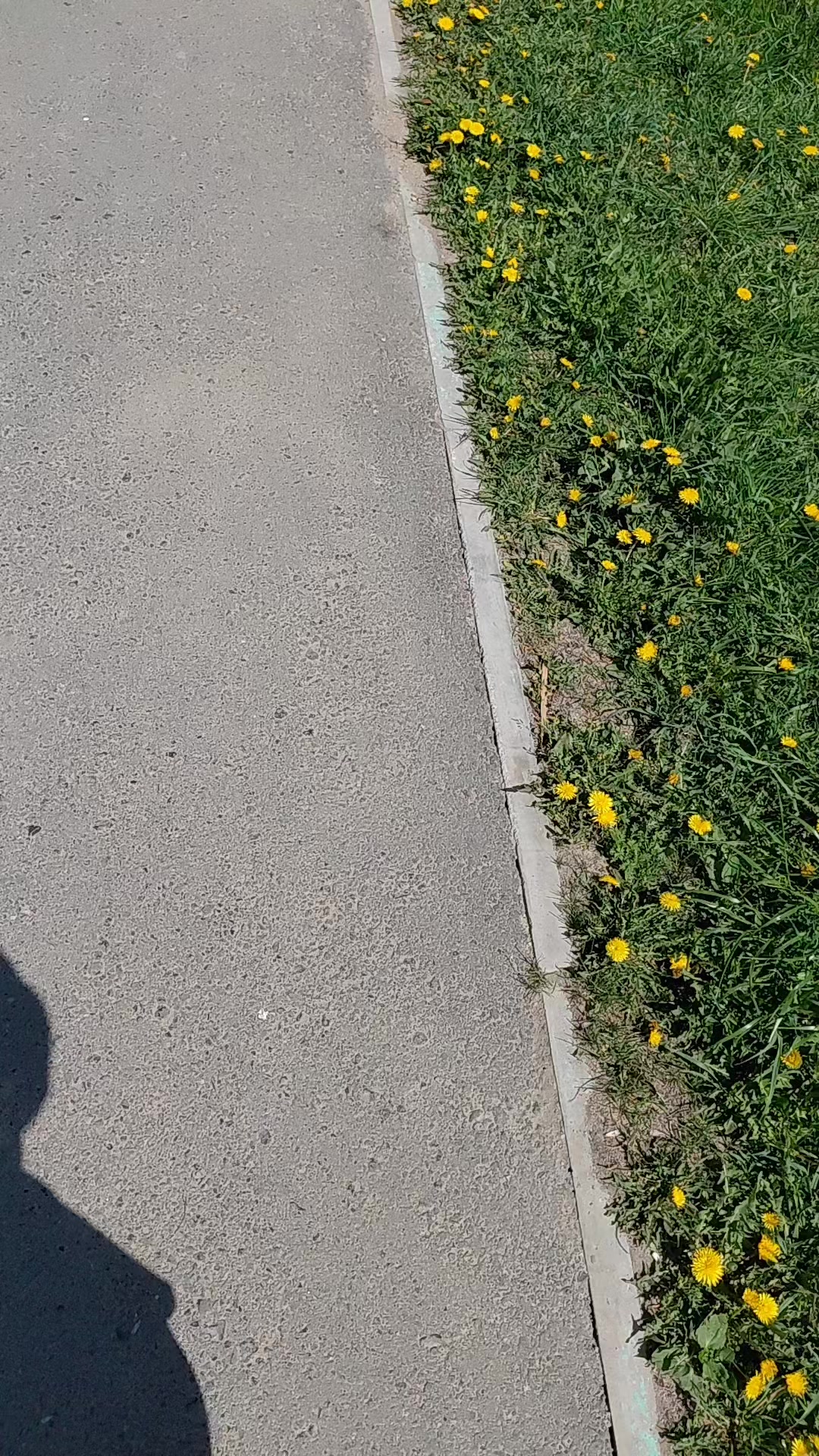 @💋💋жена своего мужа 💋💋