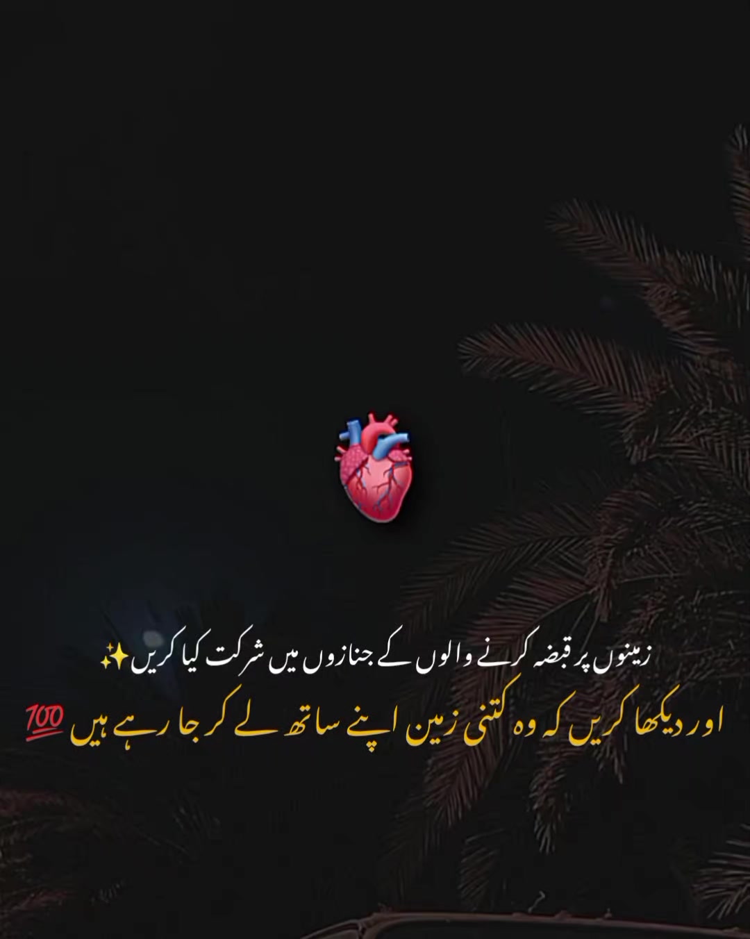 @MrS ArSaLaN♥️
