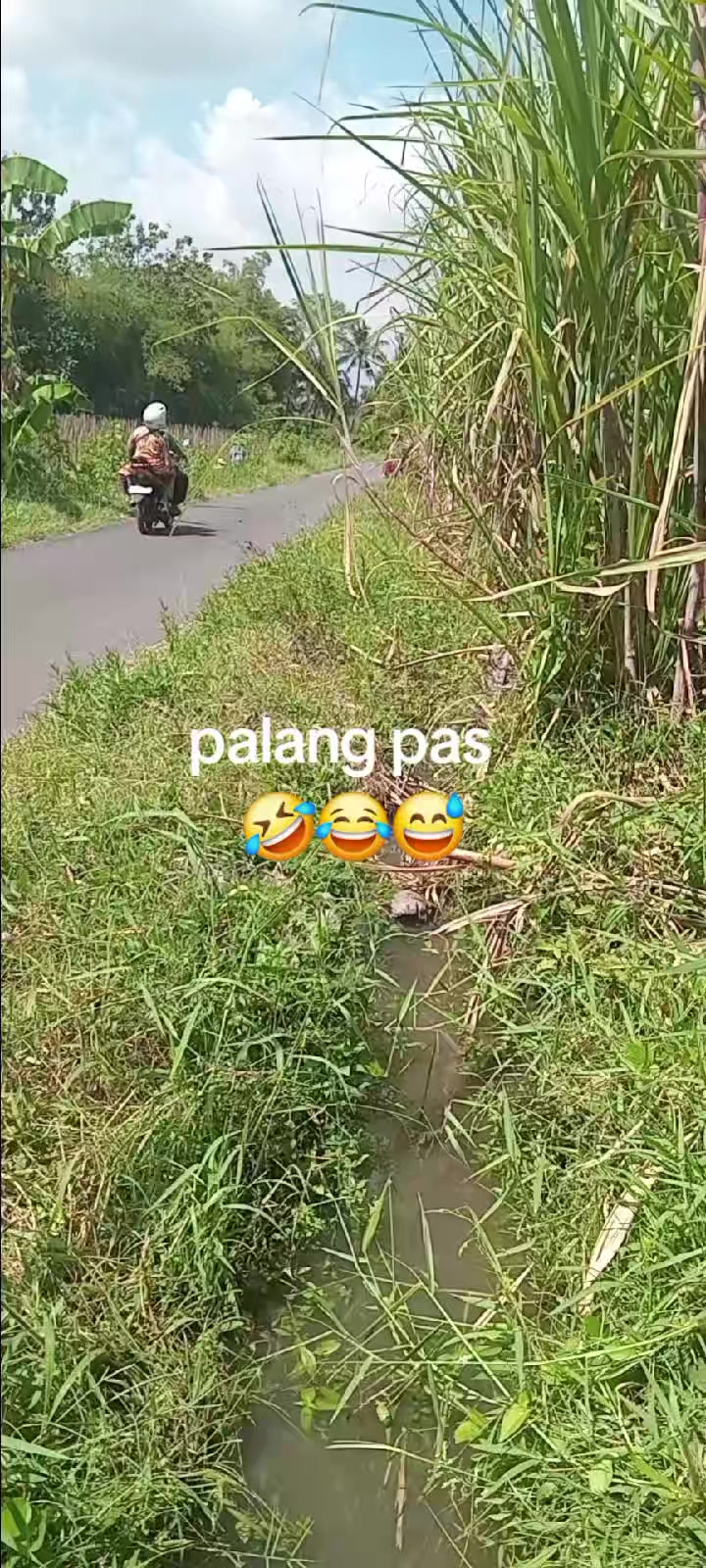 @KAMPONG TOSO