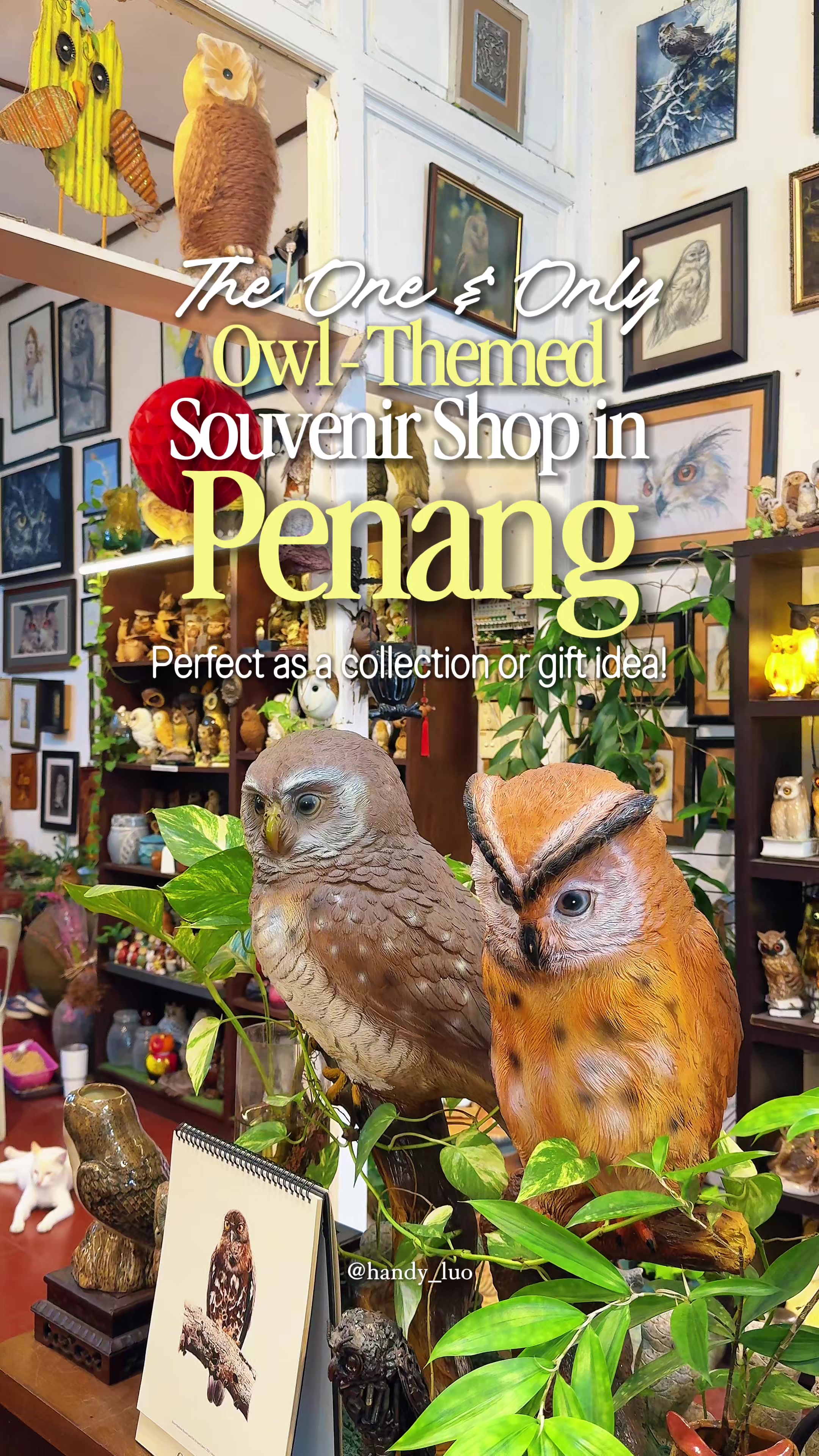 @Handy Luo | Travel Creator