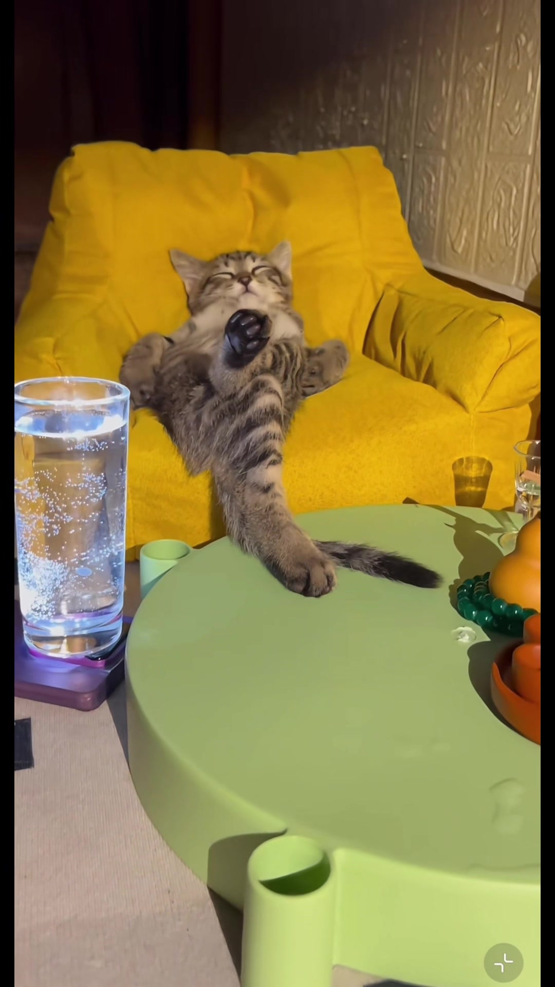 @My Daily Dose of Aww