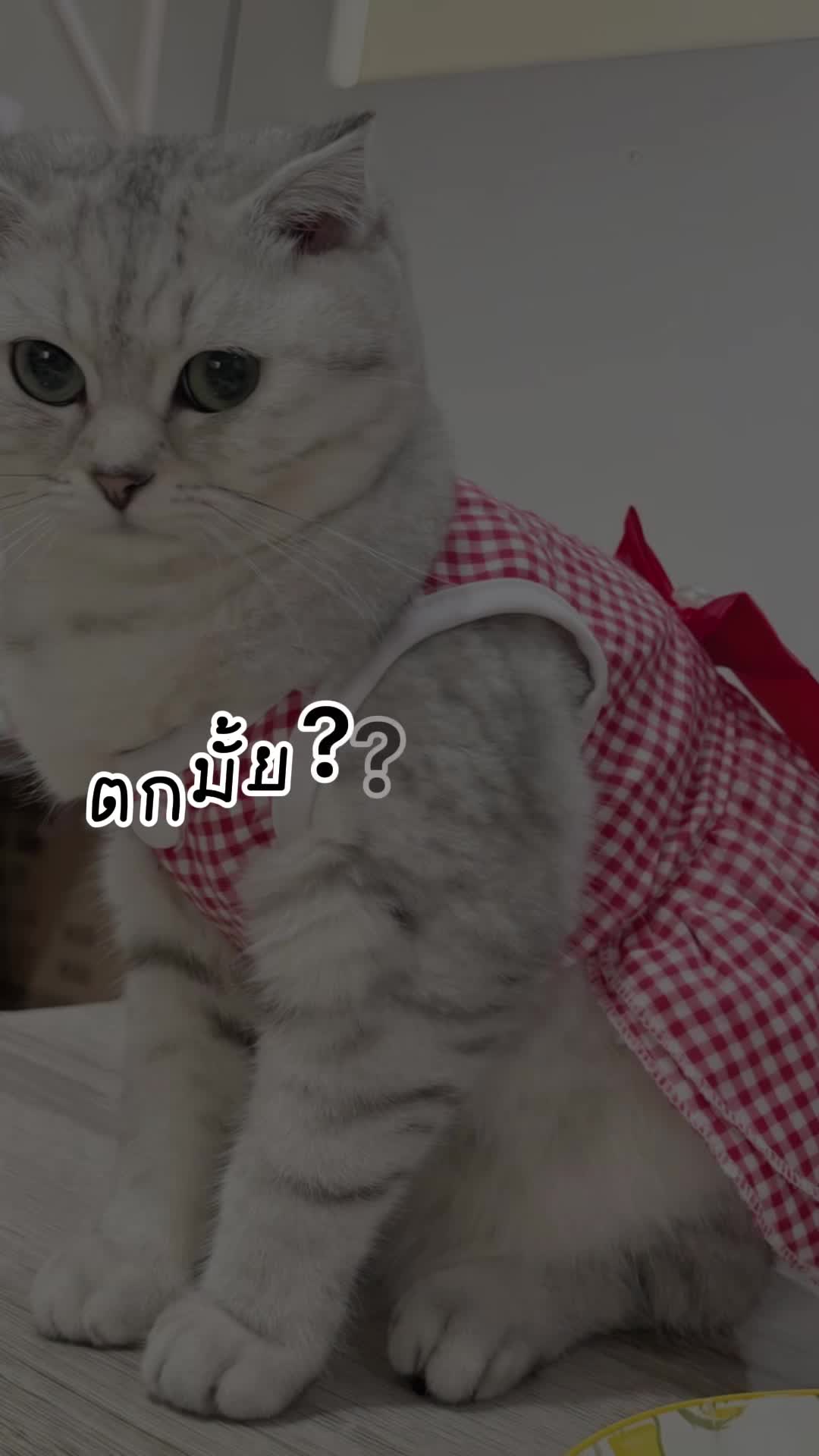 @จุ๋ม(พัขญ์ธินันท์)