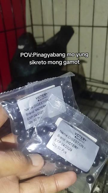 @KALAPATIDS SHOP 🕊️
