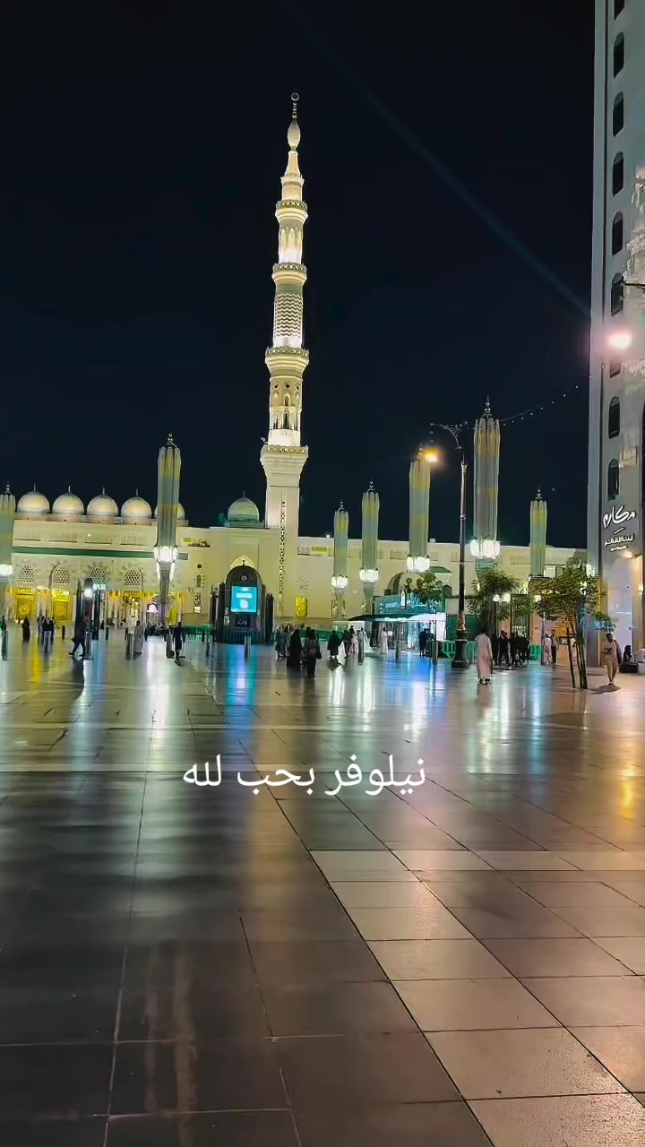 @نيلوفر