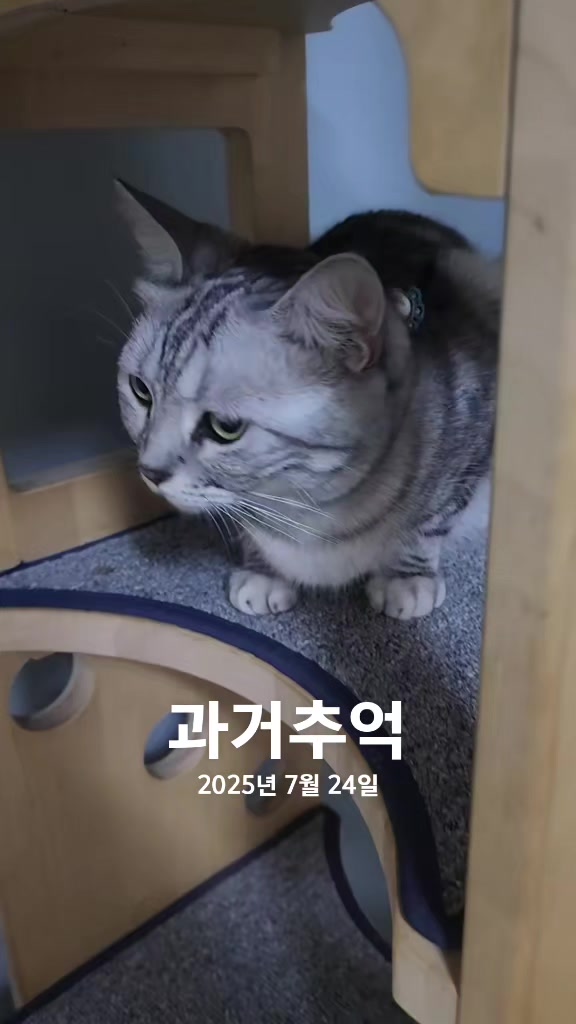 @박씨 거실