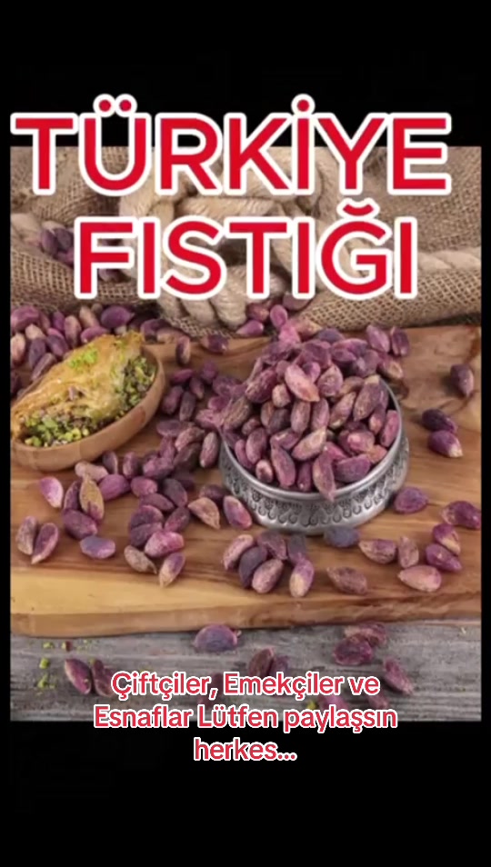 @Kocaoğlu Fıstıkçılık
