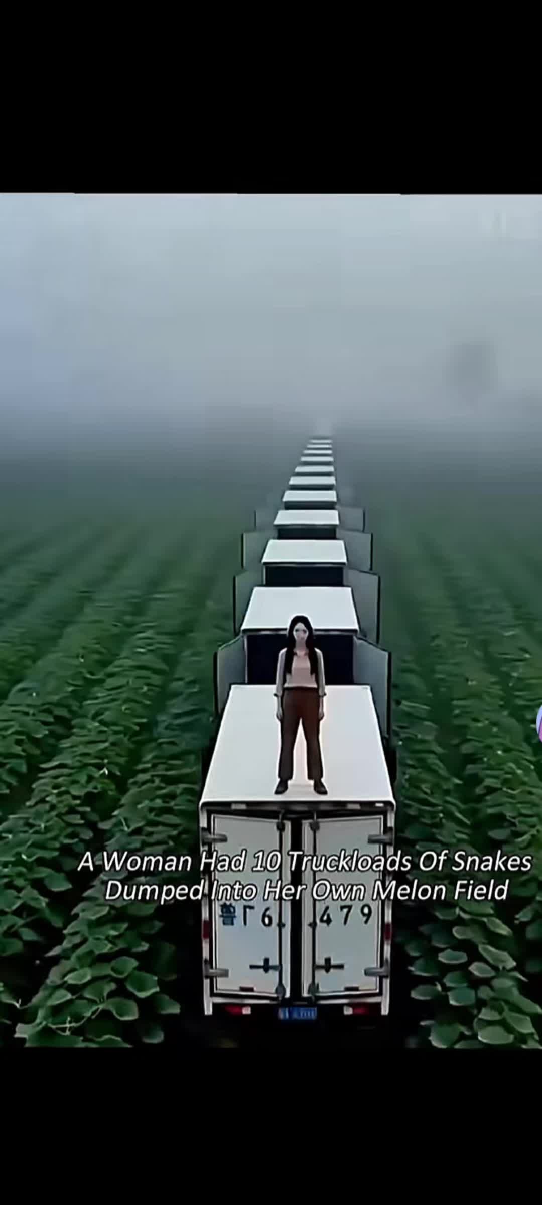 @Movieclips101405