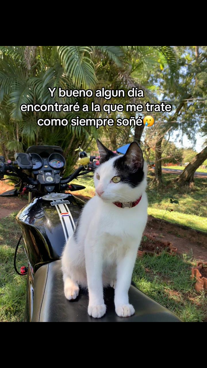 @_nelson_007