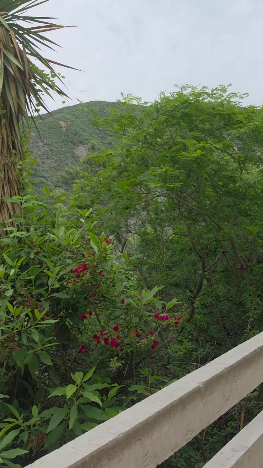 @Paradise