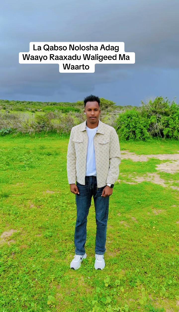 @Cornel AMIIR