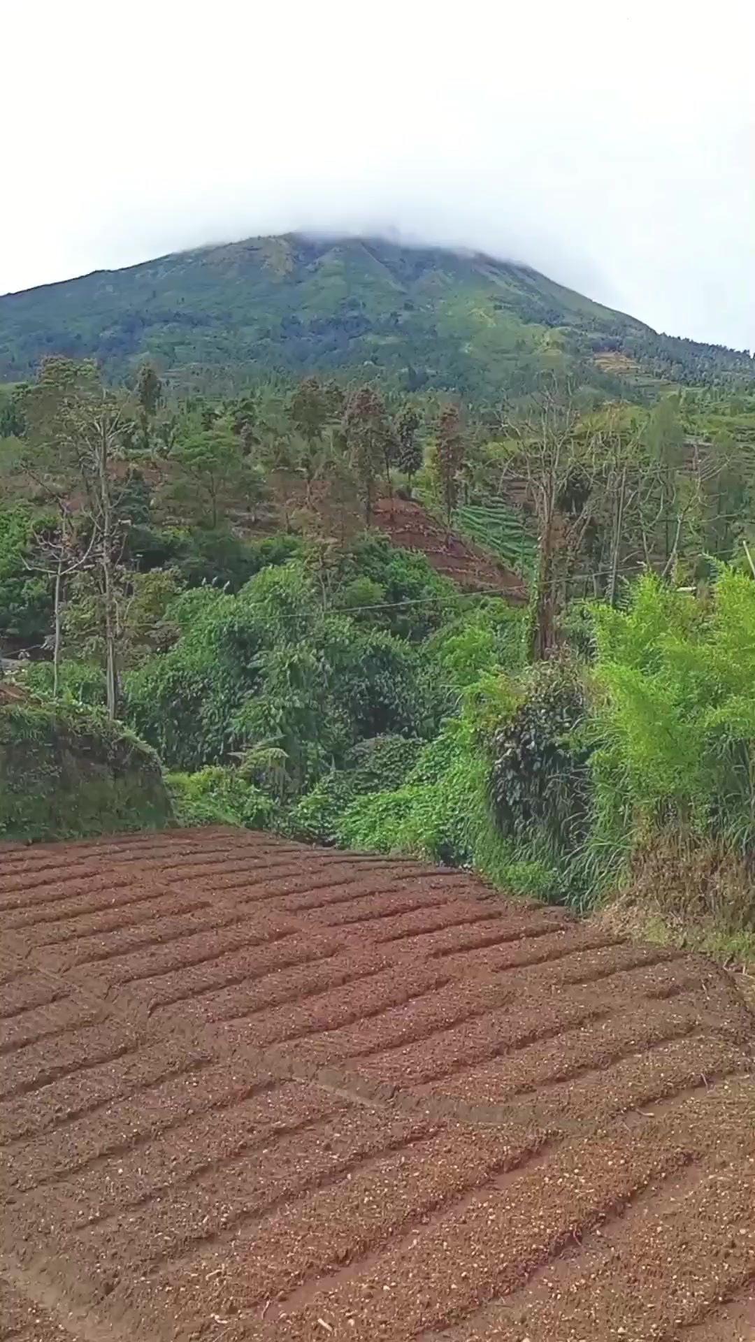 @jaka swara
