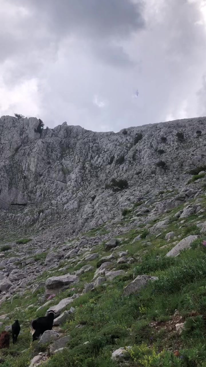 @ALİ AKKAŞ