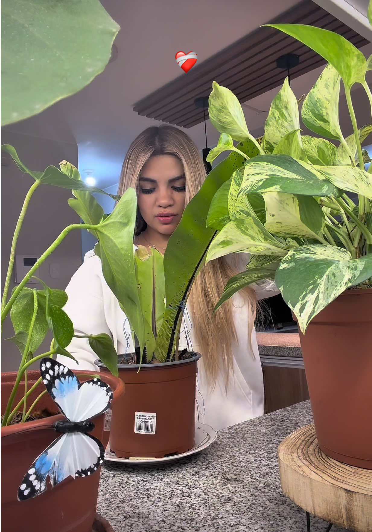 @Naldy Saldaña