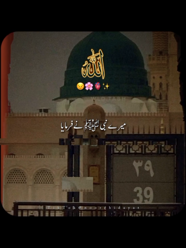 @Noor-e-Hidayat