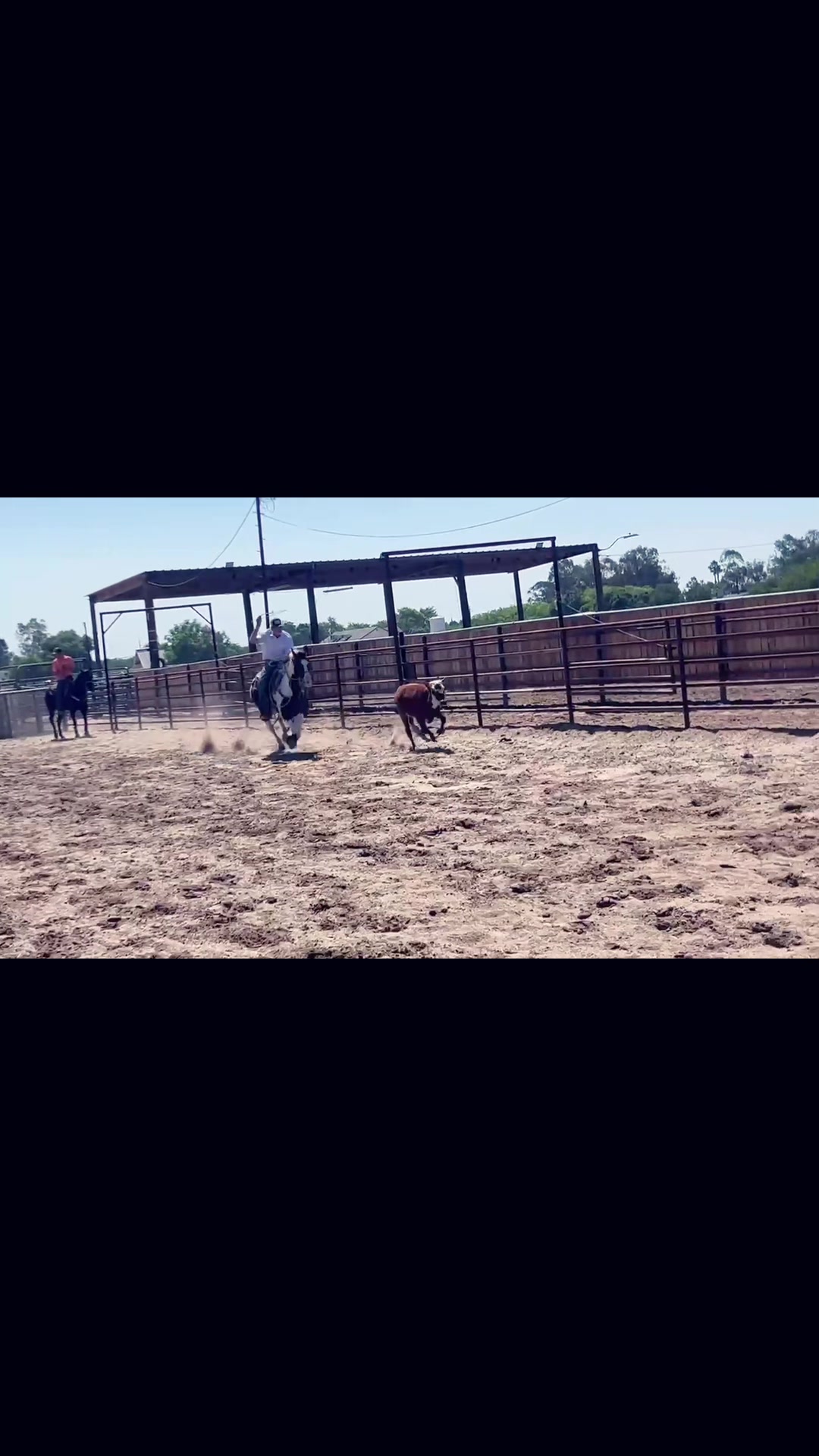 @Cord Forzano Rope Horses