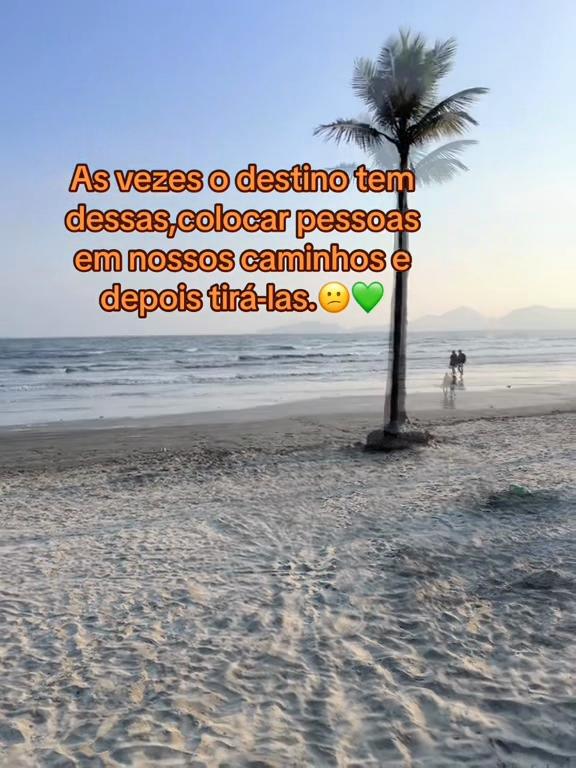 @FrasesCarvalho1985💚