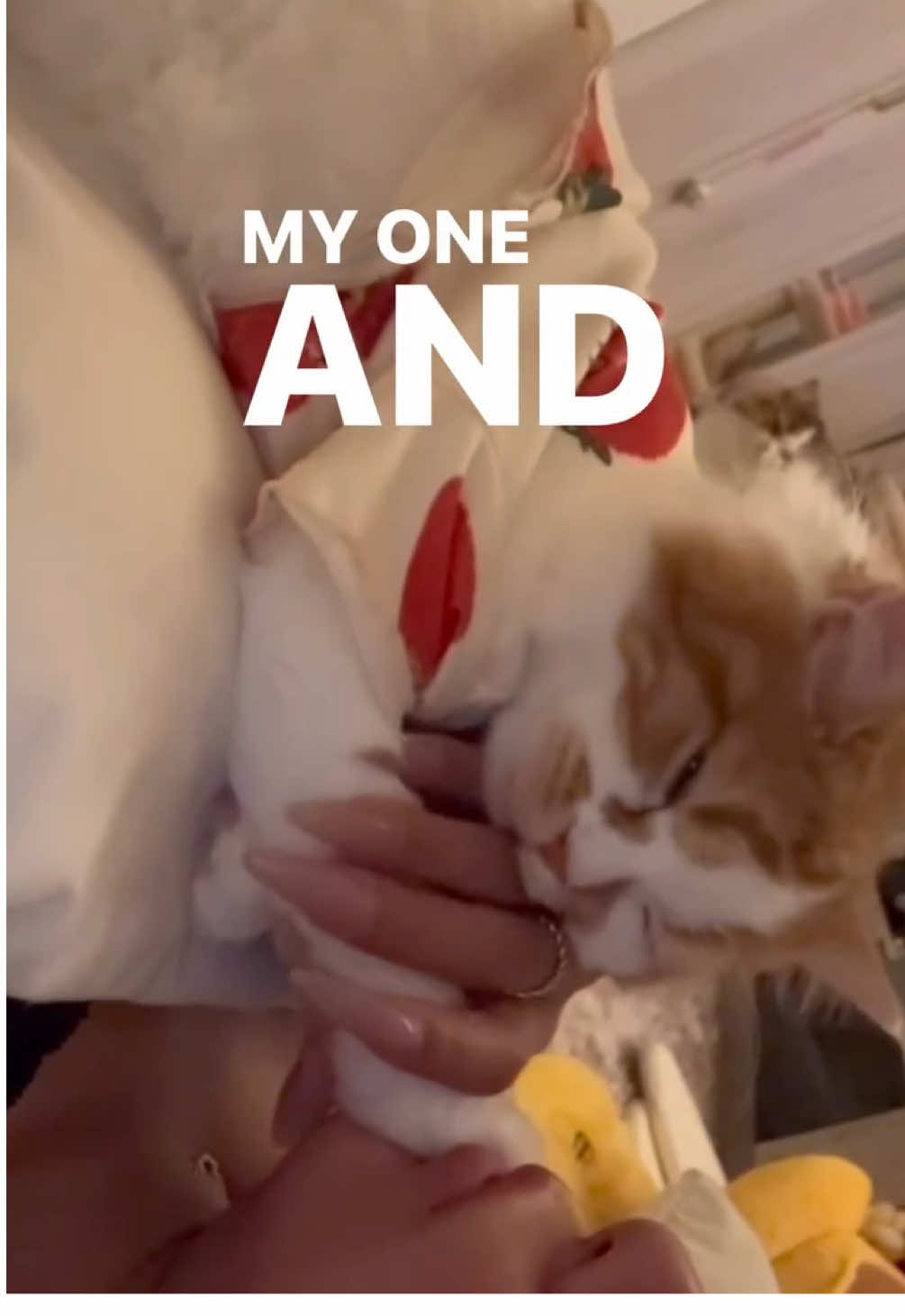 @KiMi ❤︎