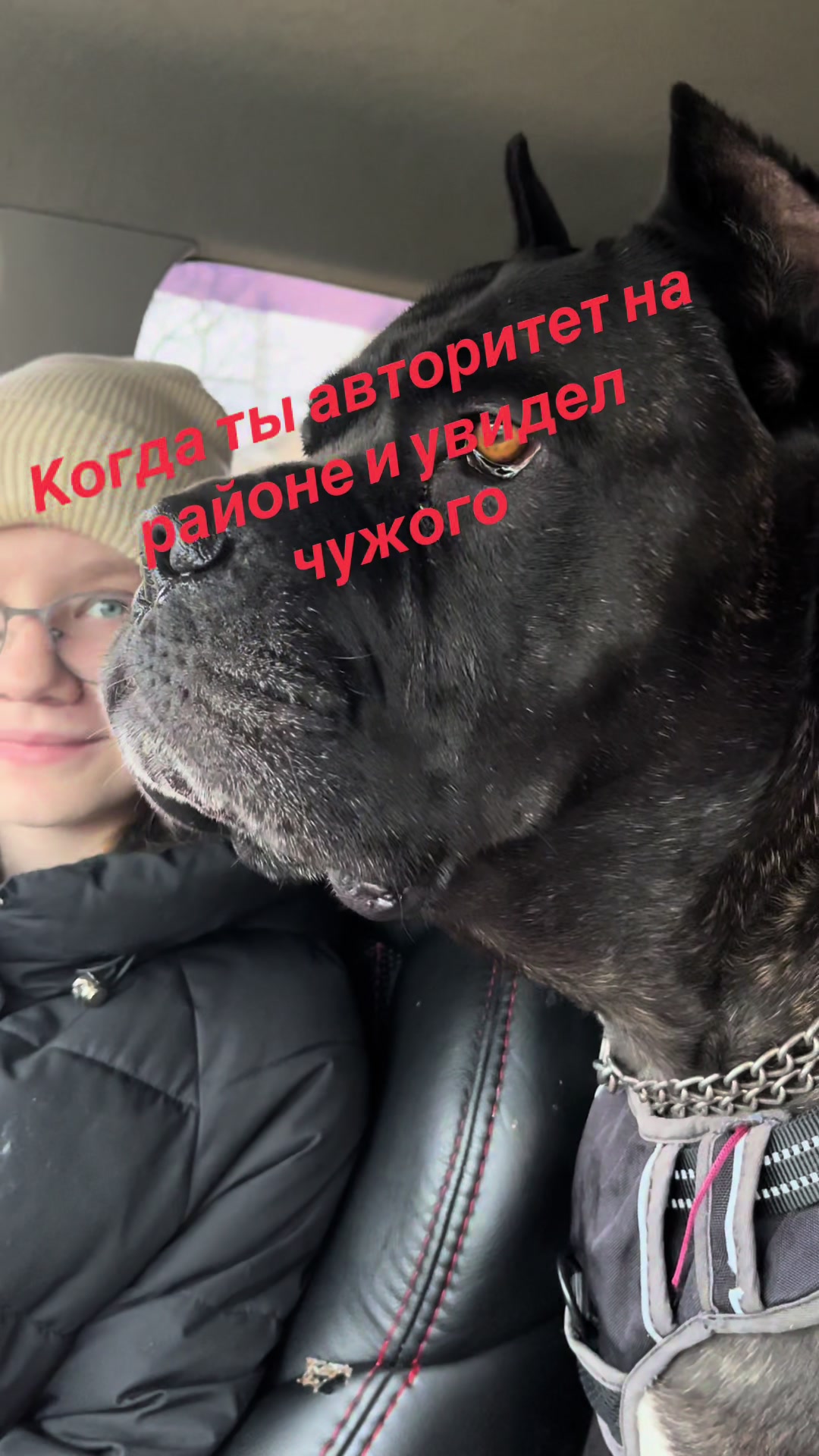 @rnt_by