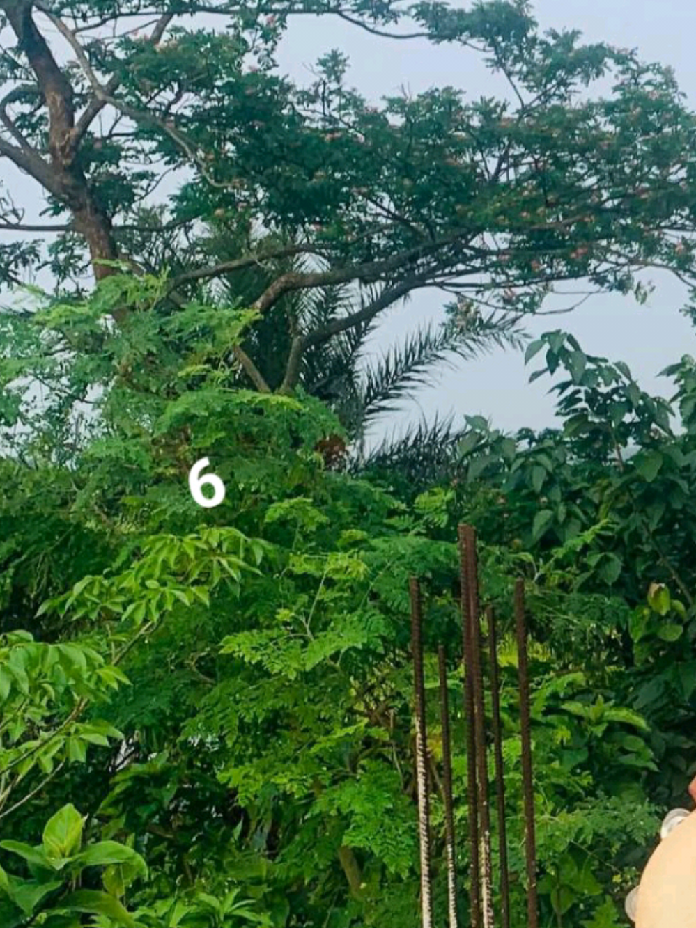 @🇧🇩الابن الأصغر للعائلة✈️🇸🇦