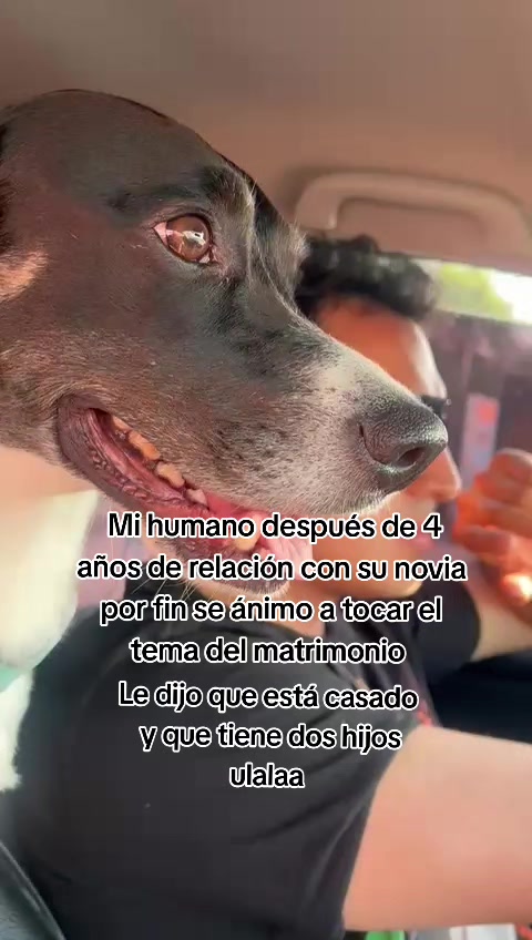 @Thor y Linda 🐾🐕❤️