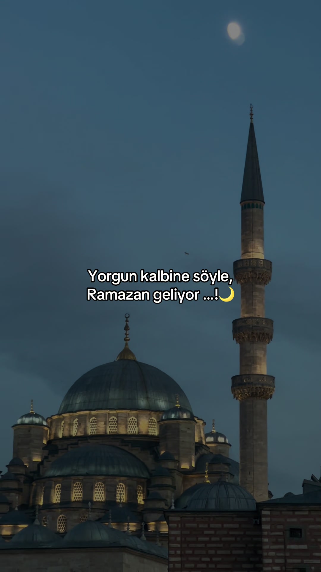@𝕰𝖘𝖗𝖆