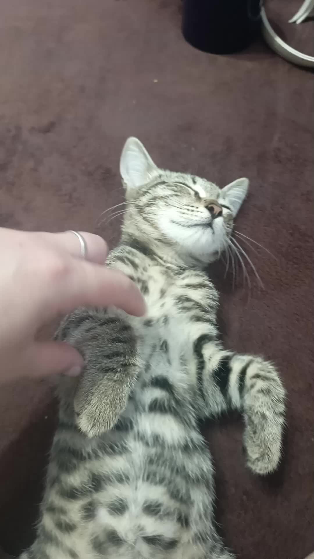 @❤️❤️❤️