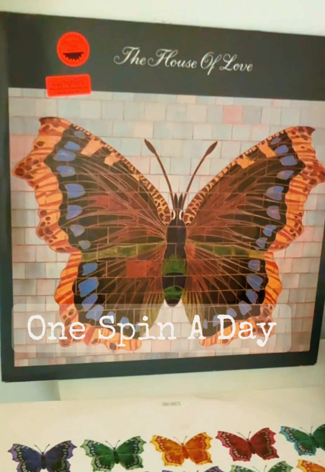 @OneSpinADay
