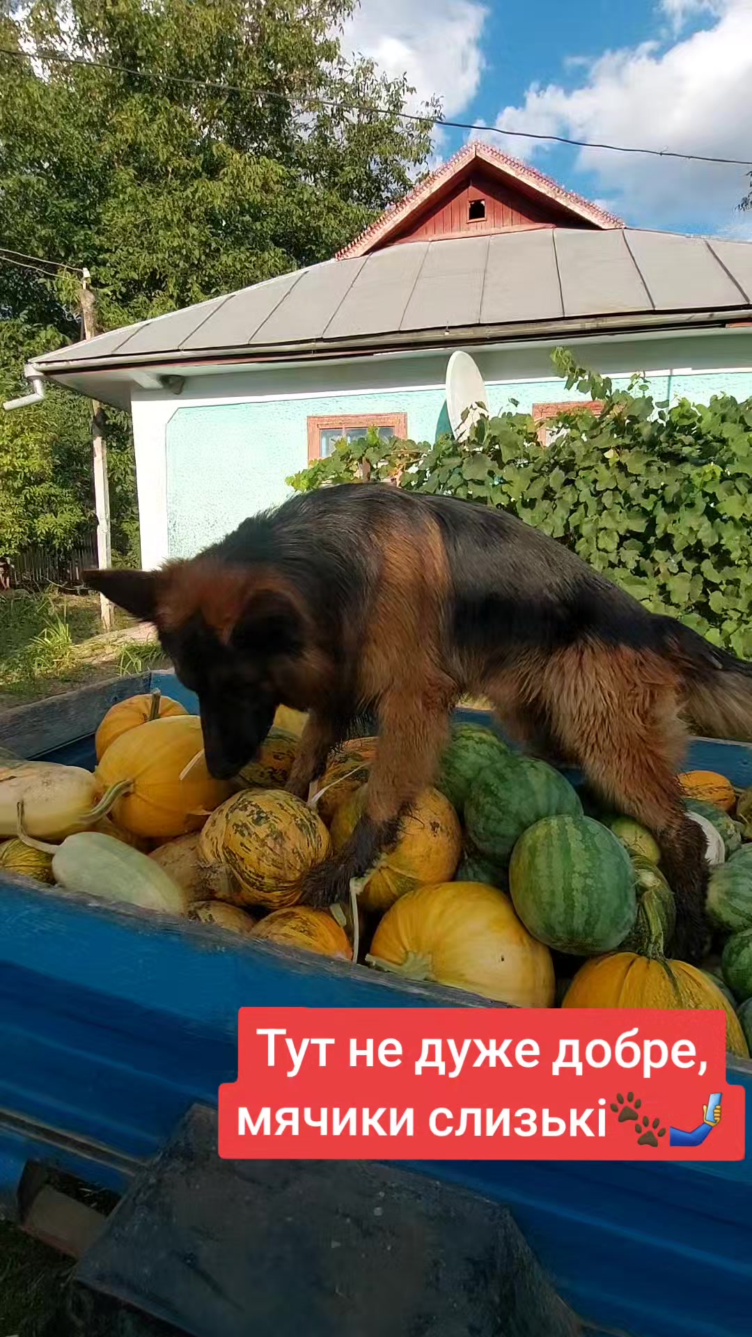 @Наташа Мазур.